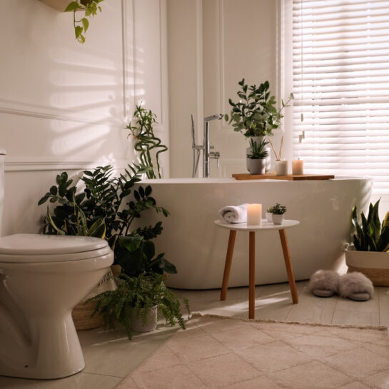 Stylish bathroom interior with white toilet bowl, tub green houseplants Stylish bathroom interior with white toilet bowl, tub green houseplants